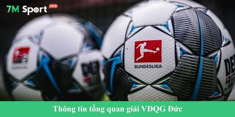 Thông tin tổng quan giải VĐQG Đức