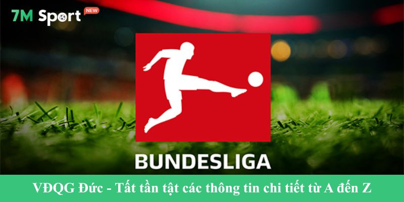 VĐQG Đức - Tất tần tật các thông tin chi tiết từ A đến Z