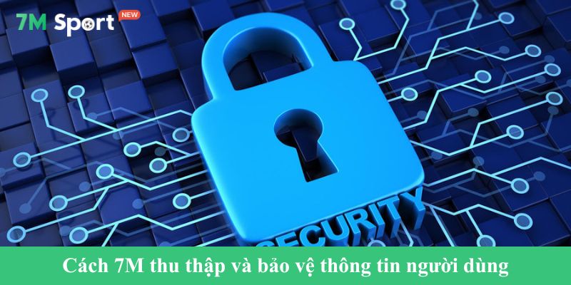 Cách 7M thu thập và bảo vệ thông tin người dùng
