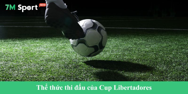 Thể thức thi đấu của Cup Libertadores