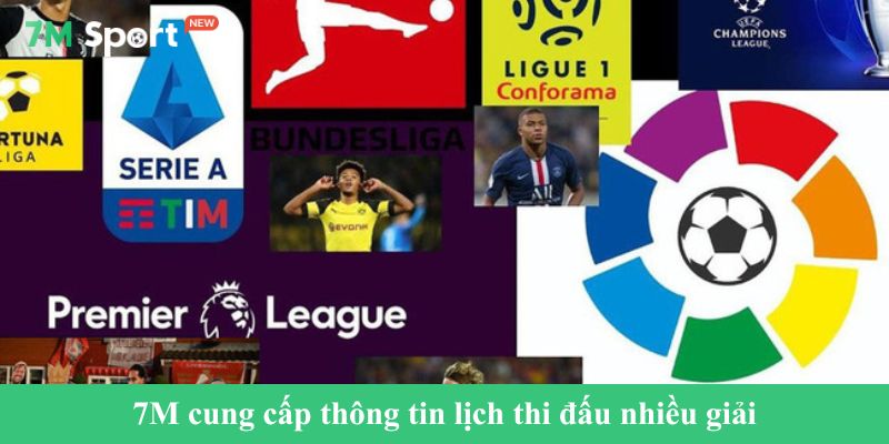 7M cung cấp thông tin lịch thi đấu nhiều giải