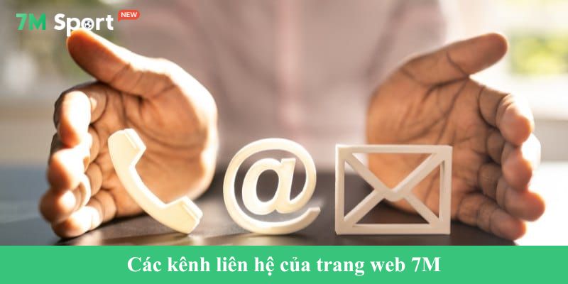 Các kênh liên hệ của trang web 7M